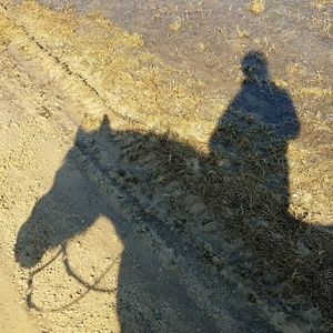 Meet your Posher, Traci